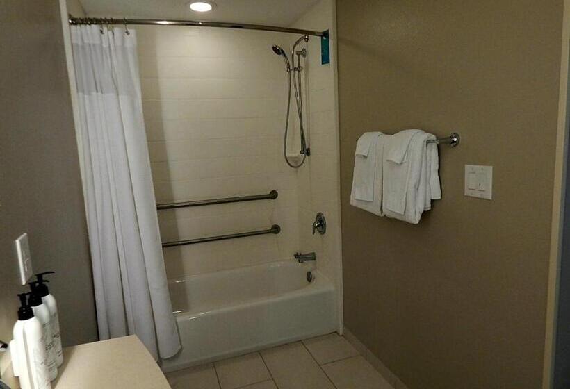 带大床的标准工作室, Springhill Suites By Marriott Corpus Christi