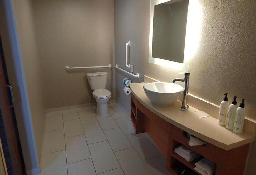 带大床的标准工作室, Springhill Suites By Marriott Corpus Christi