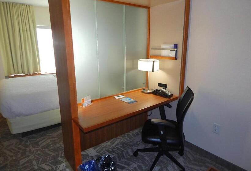 标准工作室, Springhill Suites By Marriott Corpus Christi