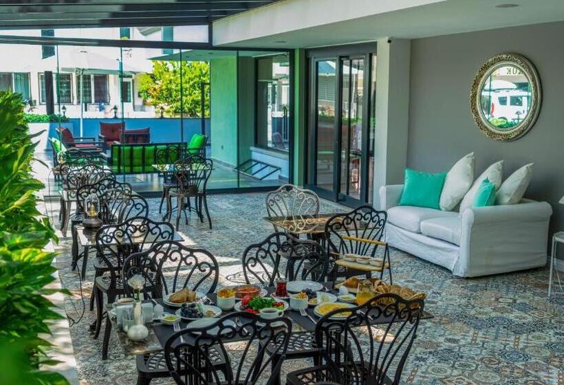 Camera Superiore, The Mori Club