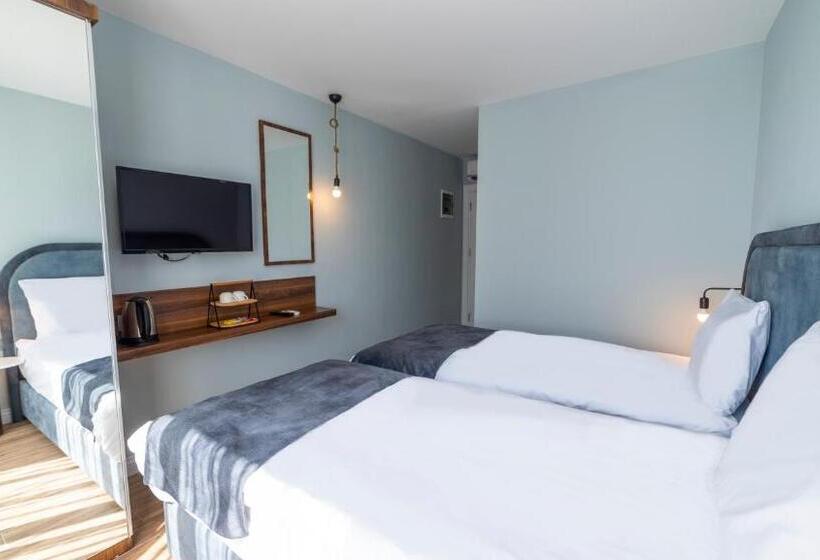 Camera Standard, The Mori Club