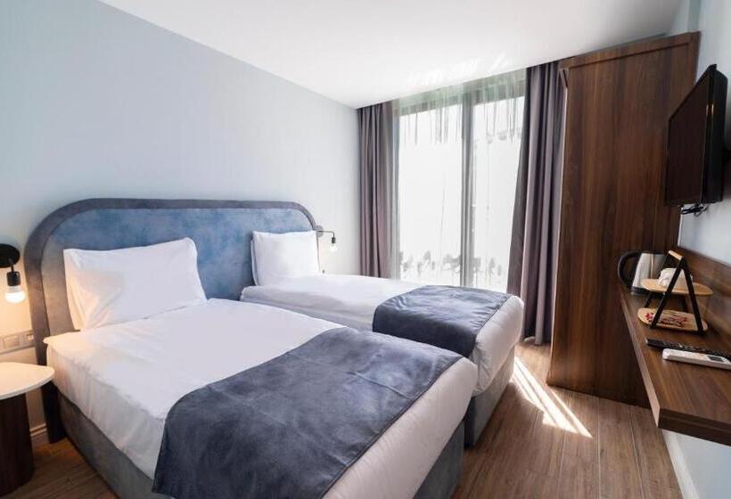 Camera Standard, The Mori Club