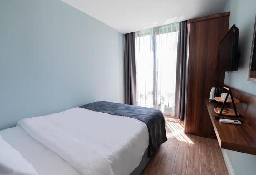 Camera Standard, The Mori Club