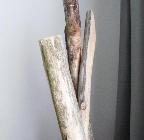 اتاق استاندارد, Trash Deluxe