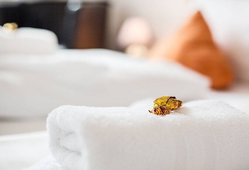 스탠다드 발코니 룸, Tum Stuurmann