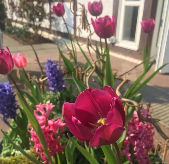 Номер Стандарт с Балконом, Landhotel Rosenhof