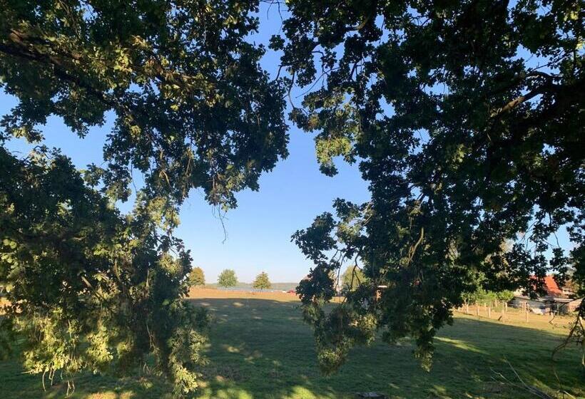 Номер Стандарт с Террасой, Landhotel Rosenhof