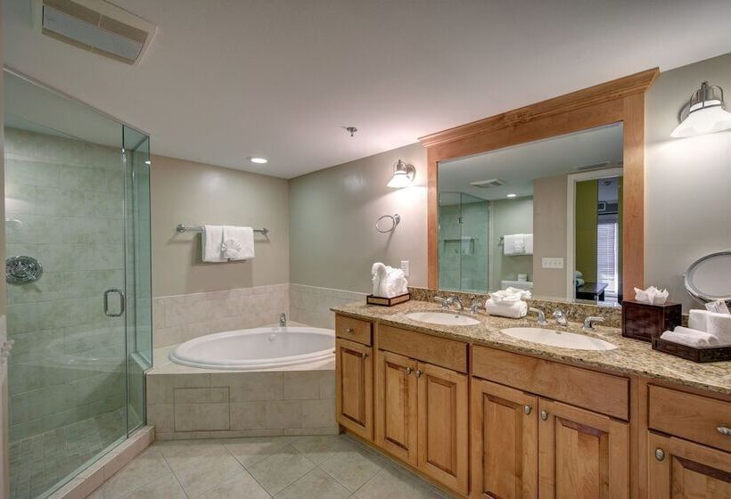 جناح غرفتين نوم, The Residences At Biltmore Asheville