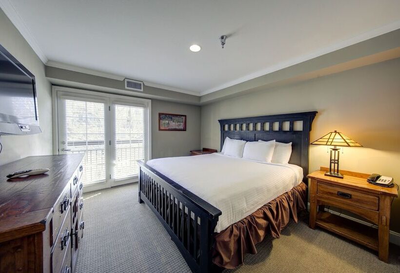 جناح غرفتين نوم, The Residences At Biltmore Asheville