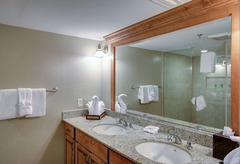 Студия Стандарт, The Residences At Biltmore   Asheville