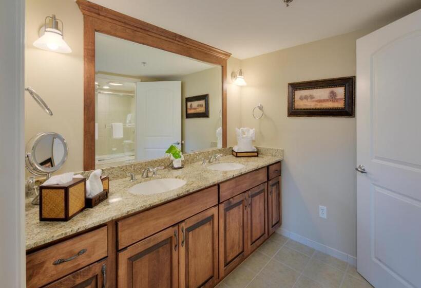 إستوديو قياسى, The Residences At Biltmore Asheville