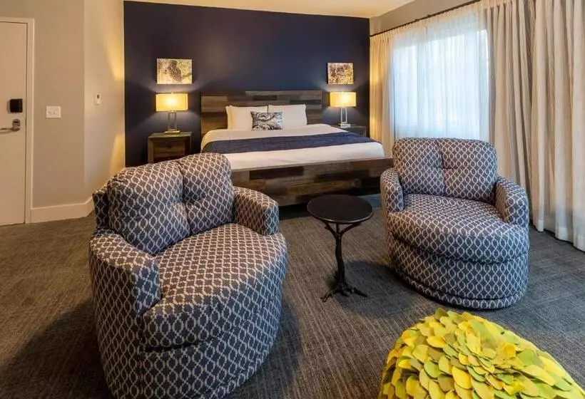 سوییت اجرایی, The Residences At Biltmore Asheville