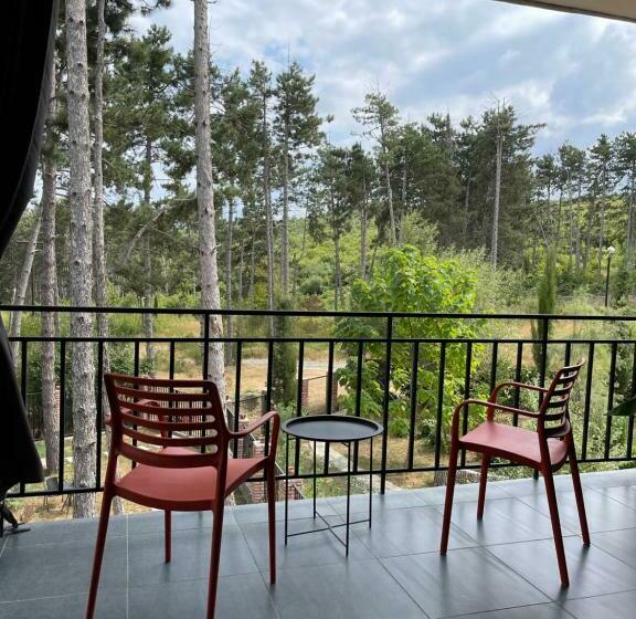 اتاق استاندارد با تراس, უცხო Utskho