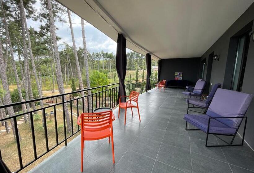 اتاق استاندارد با تراس, უცხო Utskho