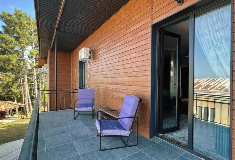 اتاق استاندارد با چشم‌انداز کوهستان, უცხო Utskho