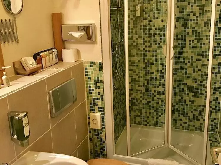 スタンダードシングルルーム, Arthotel Landhaus Zur Alten Gärtnerei