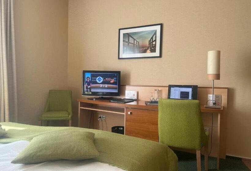수피리어 싱글 룸, Atrium Hotel Krüger