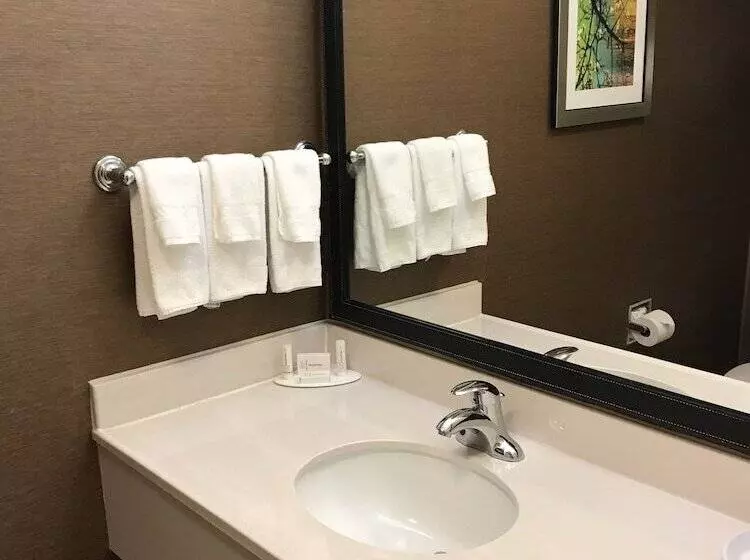 اتاق استاندارد با 2 تخت دوبل, Fairfield Inn And Suites By Marriott Mcallen