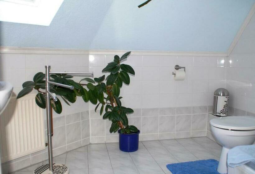 스탠다드 싱글 룸, Nordlicht