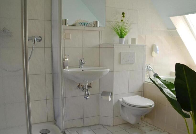 스탠다드 룸, Nordlicht