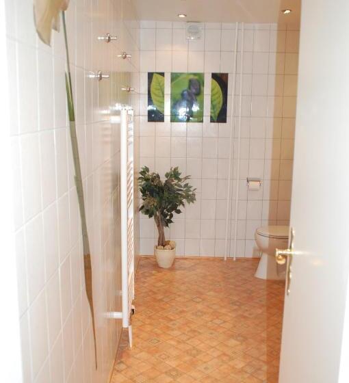 스탠다드 룸, Nordlicht