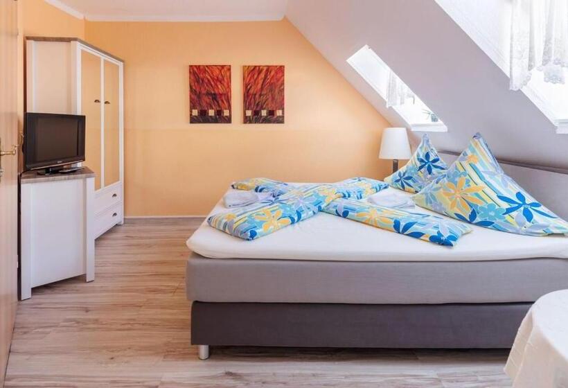 이코노미 룸, Nordlicht