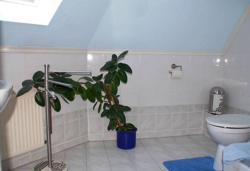 스탠다드 룸, Nordlicht