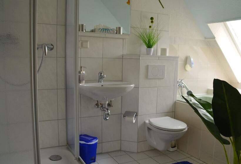 스탠다드 룸, Nordlicht