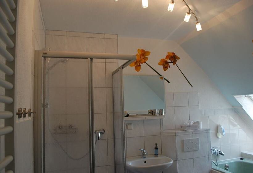 스탠다드 룸, Nordlicht