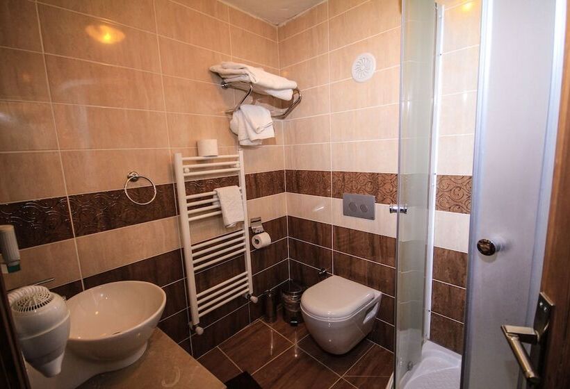 اتاق استاندارد سه نفره, Sofa