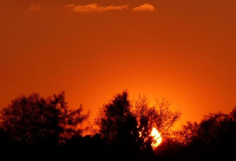 חדר סטנדרט יחיד, Restaurant Und Hotel Zum Weissen Ross