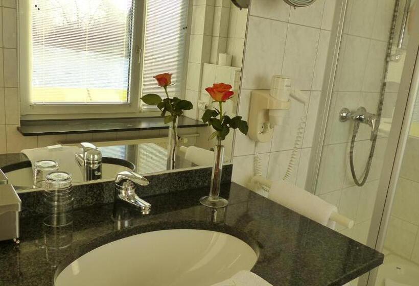 חדר סטנדרט יחיד, Restaurant Und Hotel Zum Weissen Ross