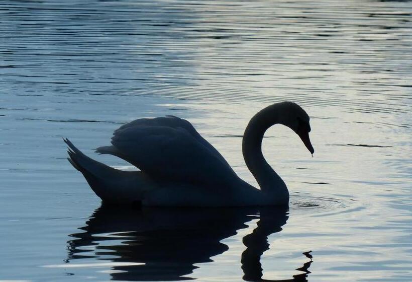 חדר סטנדרט, Restaurant Und Hotel Zum Weissen Ross