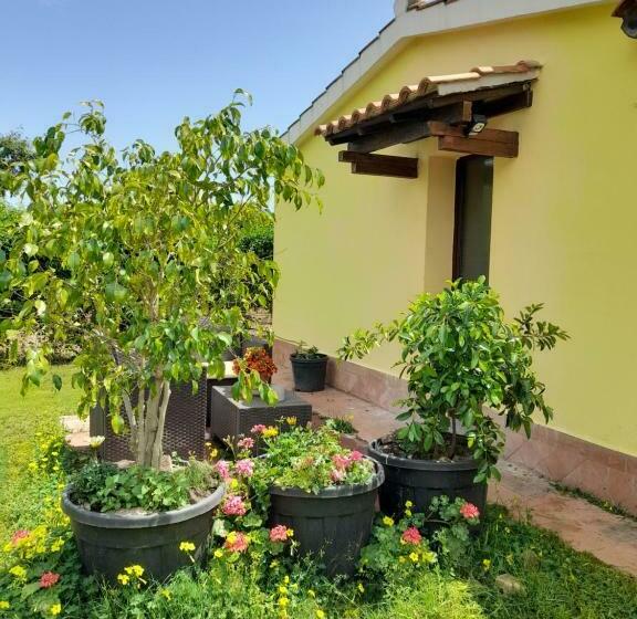 标准间, La Restanza