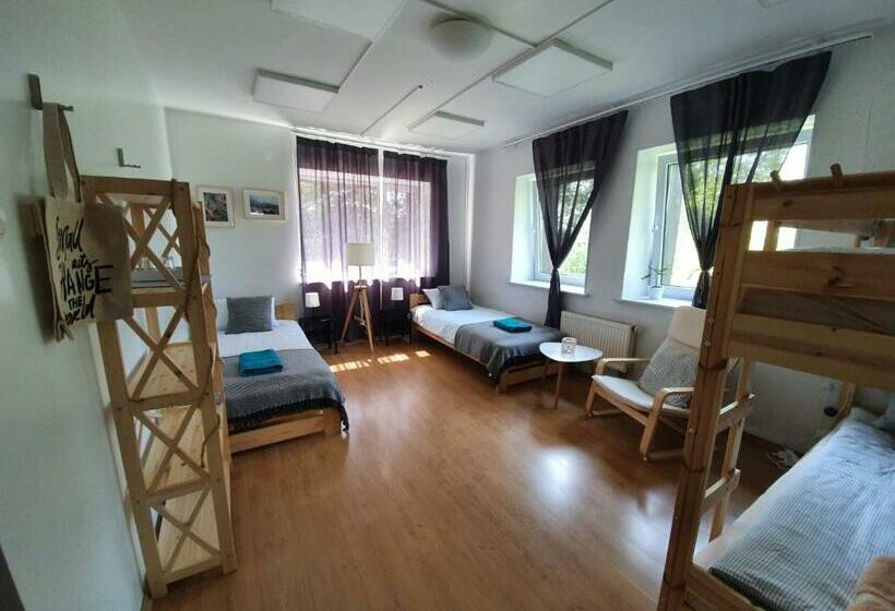 اتاق استاندارد چهار تخته, Surf Inn