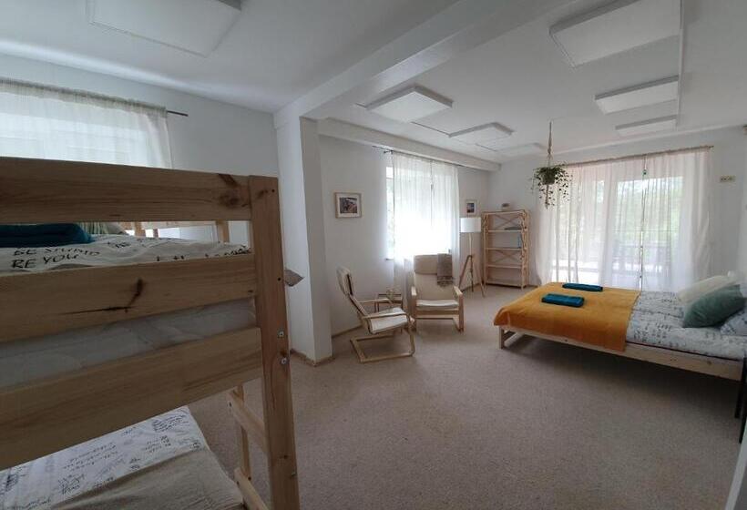 اتاق استاندارد چهار تخته, Surf Inn