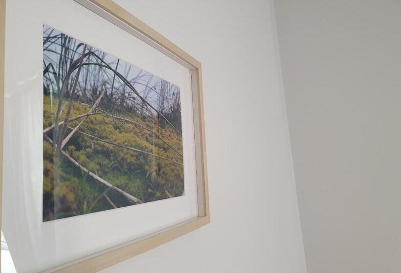 اتاق استاندارد, Surf Inn