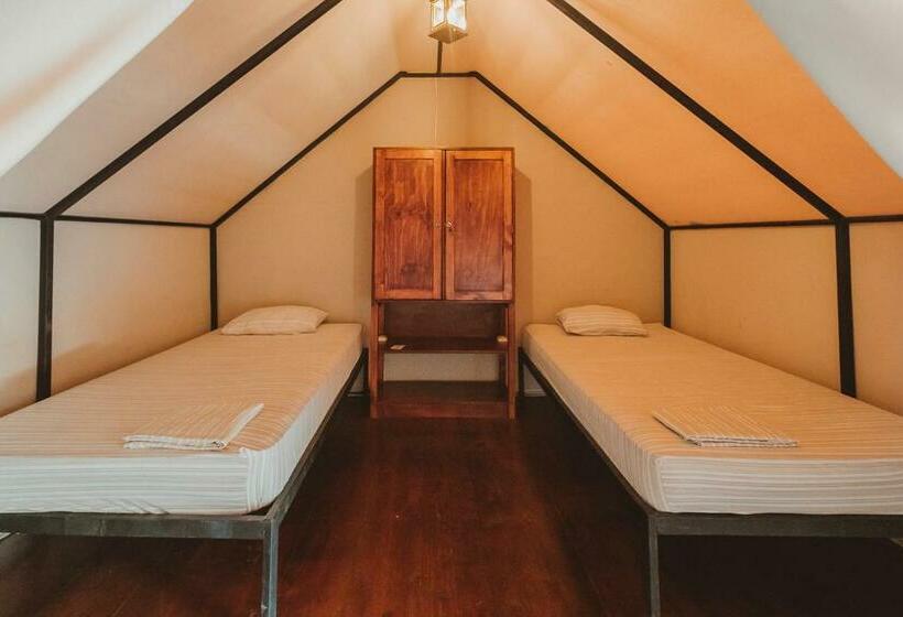 Standard Tent, Habitat Surf Glamp