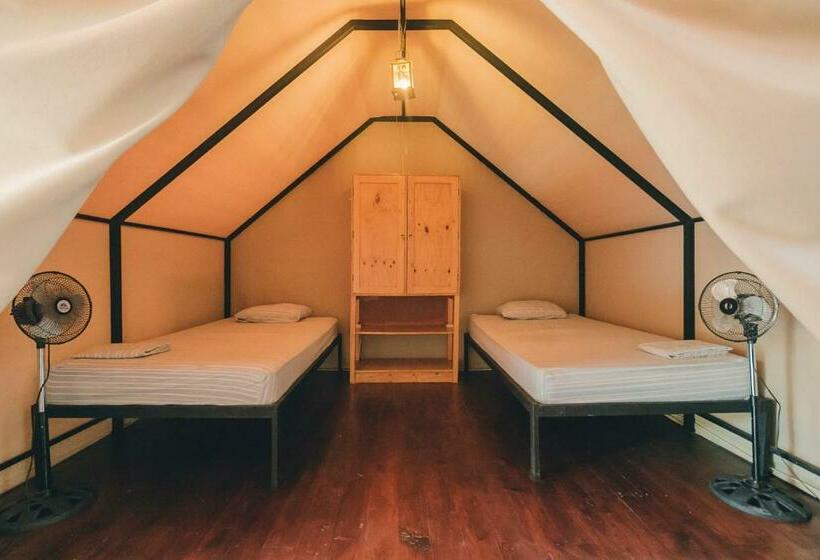 Standard Tent, Habitat Surf Glamp