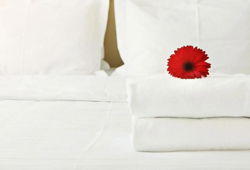 غرفة قياسية سرير كينج, Green Valley Motel Winston Salem