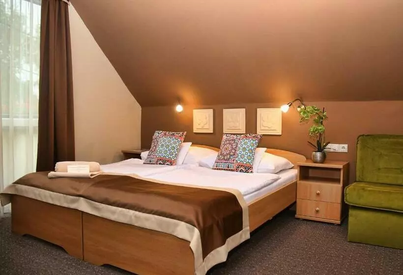 スーペリアールーム, Alfa Hotel & Wellness Miskolctapolca