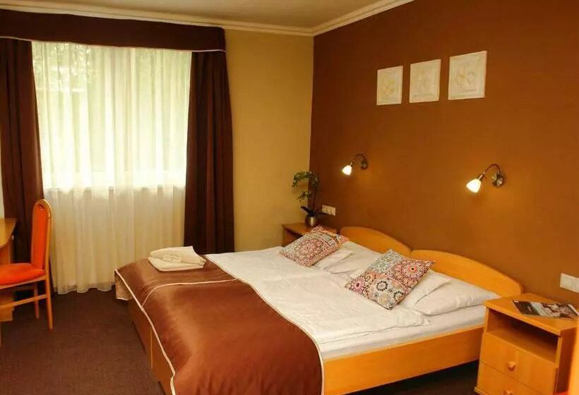 スーペリアールーム, Alfa Hotel & Wellness Miskolctapolca