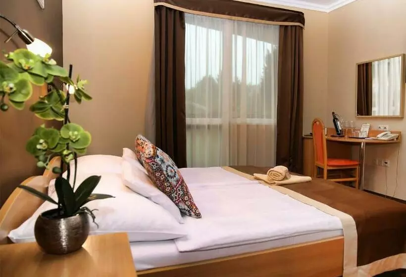 スーペリアールーム, Alfa Hotel & Wellness Miskolctapolca