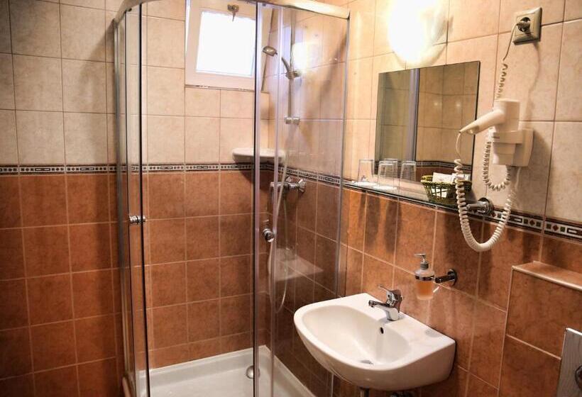 חדר סטנדרט יחיד, Alfa Hotel & Wellness Miskolctapolca