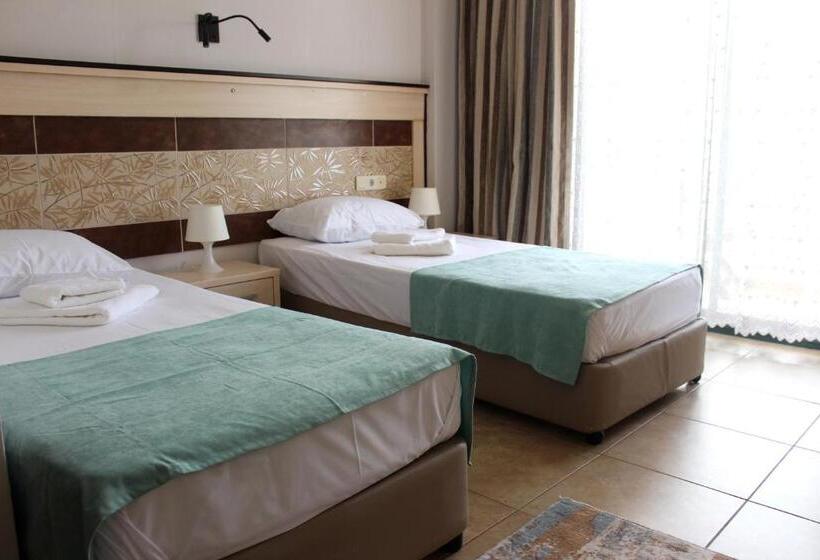 Номер Стандарт, Avlu