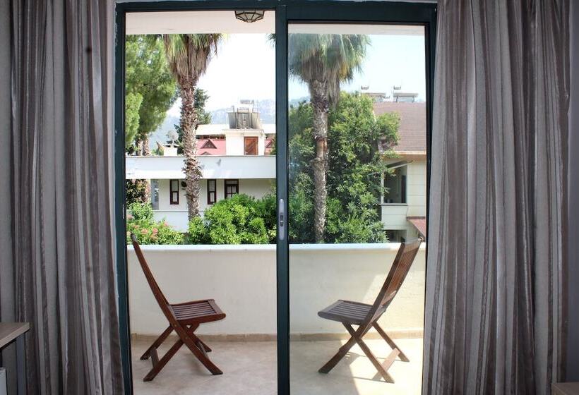 Номер Стандарт, Avlu