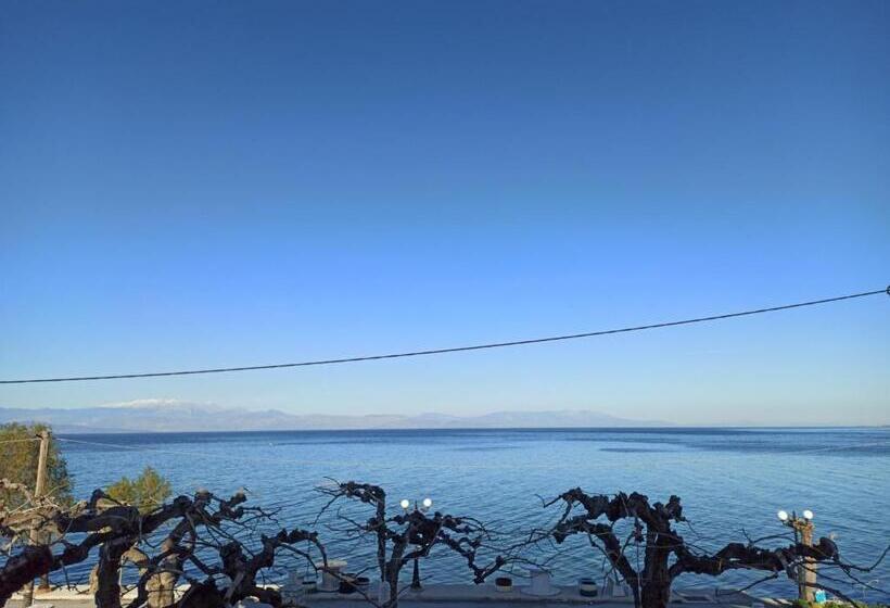 オーシャンビュースタンダードルーム, Panorama Hotel   Restaurant