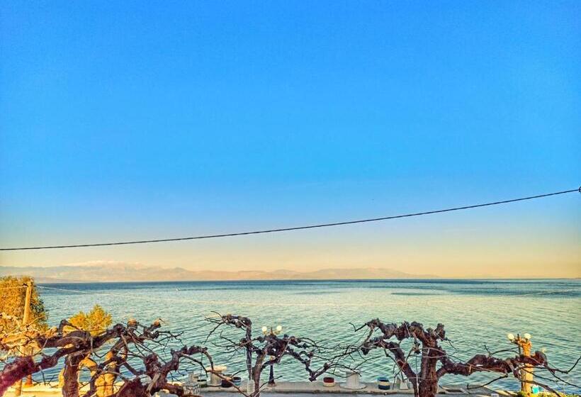 オーシャンビュースタンダードルーム, Panorama Hotel   Restaurant