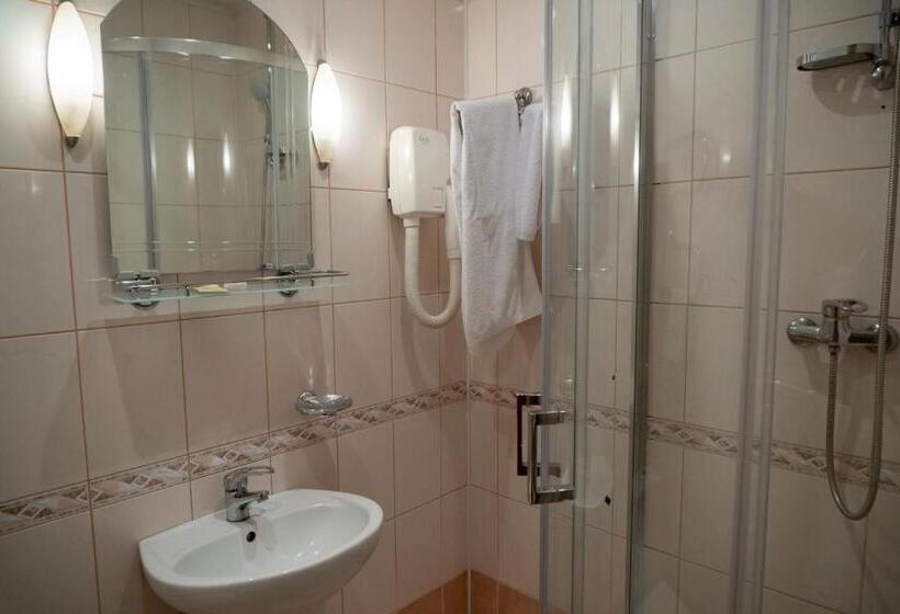 اتاق استاندارد یک نفره, Ternopil