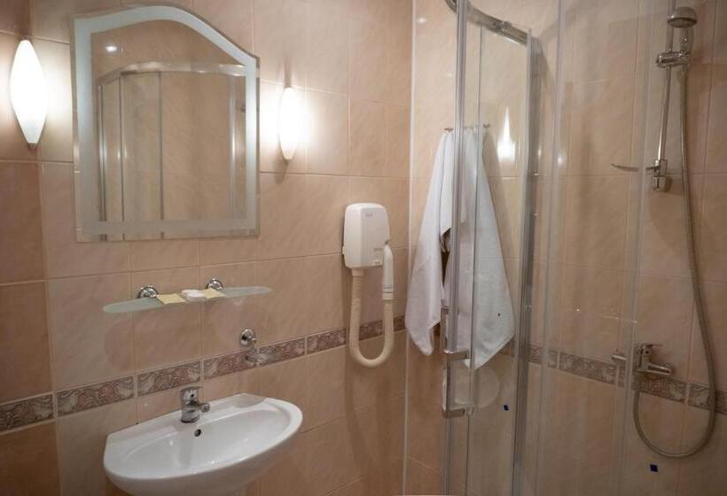 اتاق استاندارد با چشمانداز شهر, Ternopil